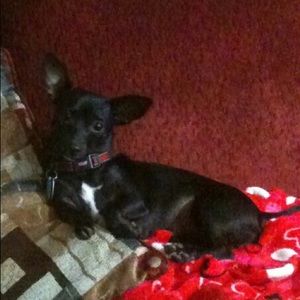 Meet your Posher, Ana